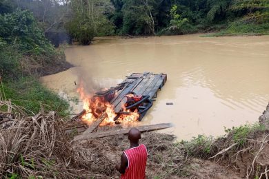 CD387161-2251-4553-9333-1776EA60EF0D