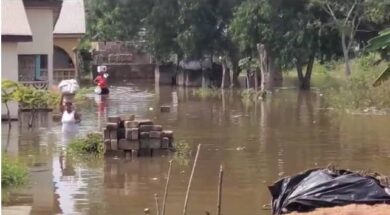 4BA3A413-1194-4264-B9D9-DD0F064894D5