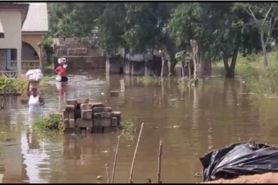 4BA3A413-1194-4264-B9D9-DD0F064894D5