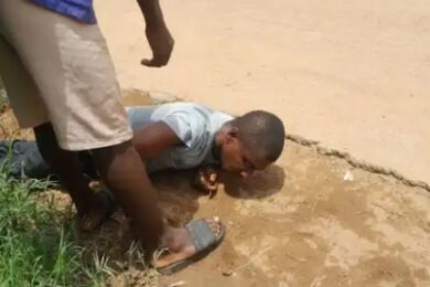 Screenshot_20240422-112938_1