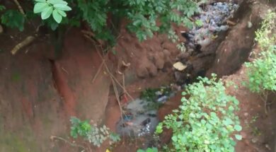 Screenshot_20240516-093222_1