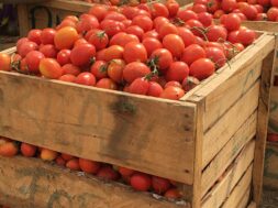 tomato-annual-report-header-image-for-blog-2017-03-22-14-35