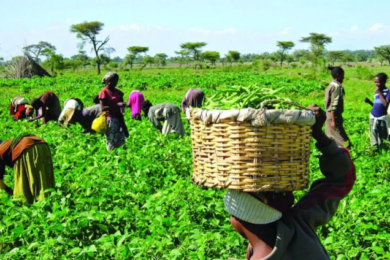 Farmers-day-Ghana-707×424