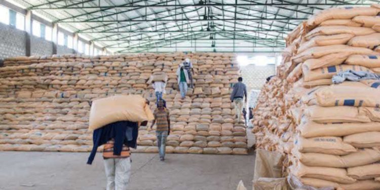 Cocoa Carriers Association To Begin Indefinite Sit-down Strike Today