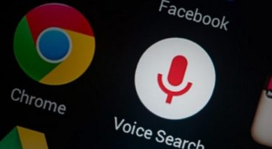 Screenshot_20241101-130406_1